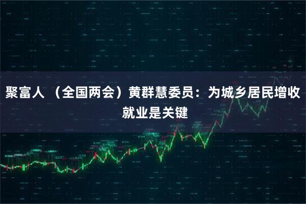聚富人 （全国两会）黄群慧委员：为城乡居民增收 就业是关键