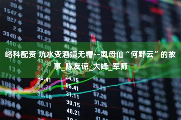 峪科配资 坑水变酒嫌无糟--虱母仙“何野云”的故事_陈友谅_大姆_军师