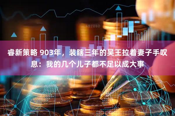 睿新策略 903年，装瞎三年的吴王拉着妻子手叹息：我的几个儿子都不足以成大事