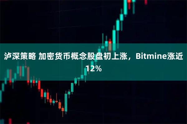 泸深策略 加密货币概念股盘初上涨，Bitmine涨近12%